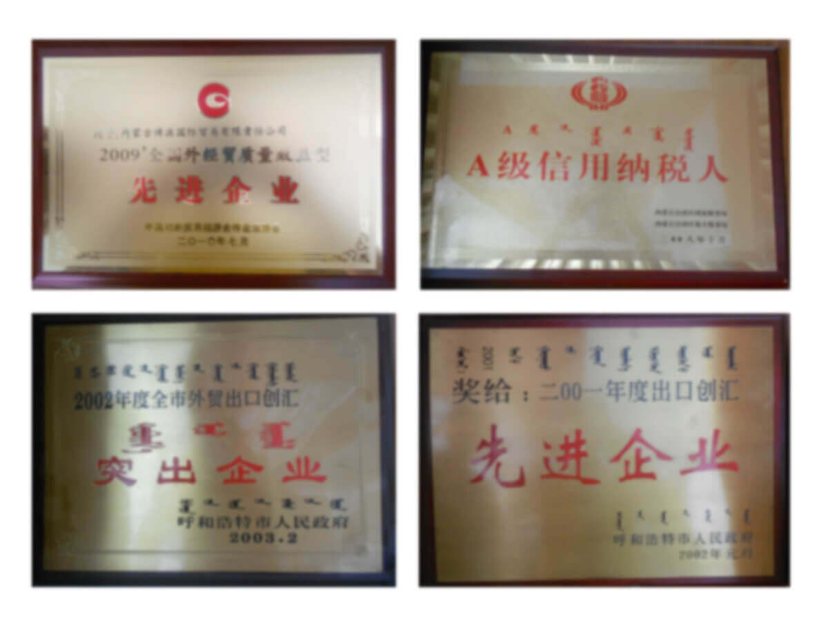 Inner Mongolia IHJUCHEM Industrial Co., Ltd.
